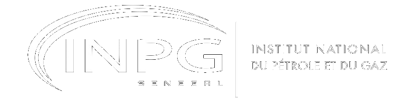 INPG – PLATEFORME COLLABORATIVE DE FORMATION – BIBLIOTHEQUE NUMERIQUE